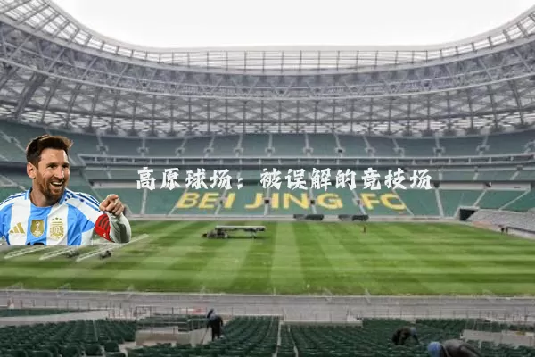 高原球场:被误解的竞技场